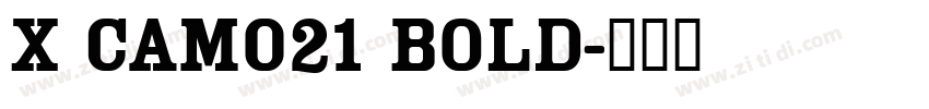 X CAM021 Bold字体转换